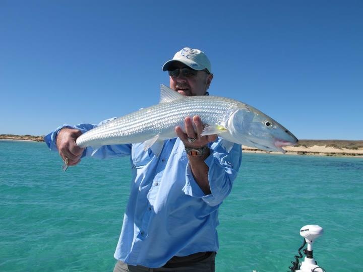 Neil Goodings A 13lb bonefish from right here in Australia